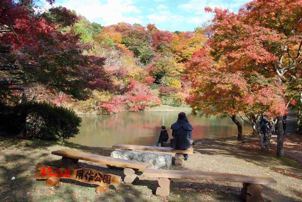 用作公園で紅葉を眺める親子