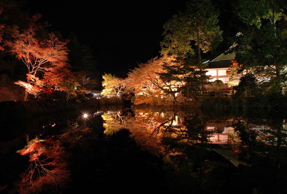 宝生寺のライトアップされた紅葉