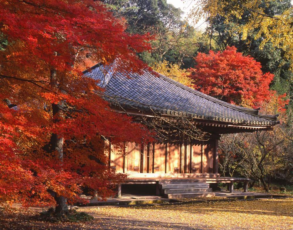 富貴寺の真っ赤な紅葉