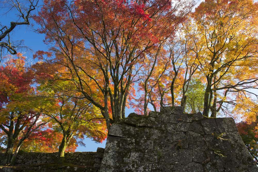 秋の紅葉岡城跡