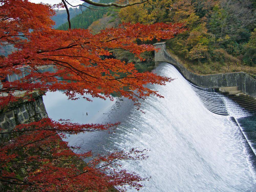 白水ダムの赤い紅葉