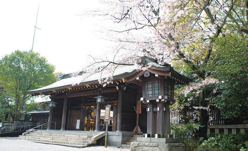 大分護国神社の桜
